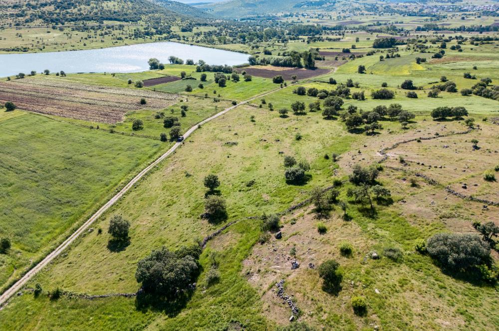 C21 LOCA'DAN BALYA NARLI'DA GÖL MANZARALI SATILIK 16 DÖNÜM TARLA