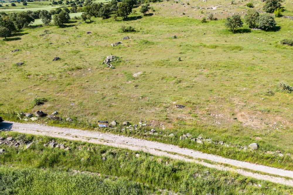 C21 LOCA'DAN BALYA NARLI'DA GÖL MANZARALI SATILIK 16 DÖNÜM TARLA