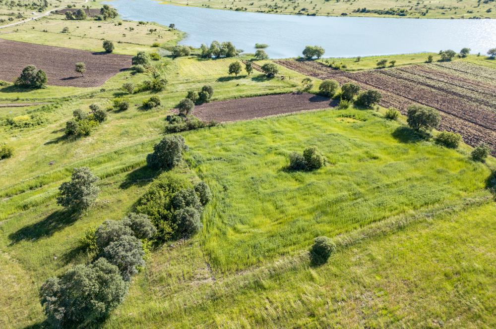 C21 LOCA'DAN BALYA NARLI'DA GÖL MANZARALI 7 DÖNÜM SATILIK TARLA