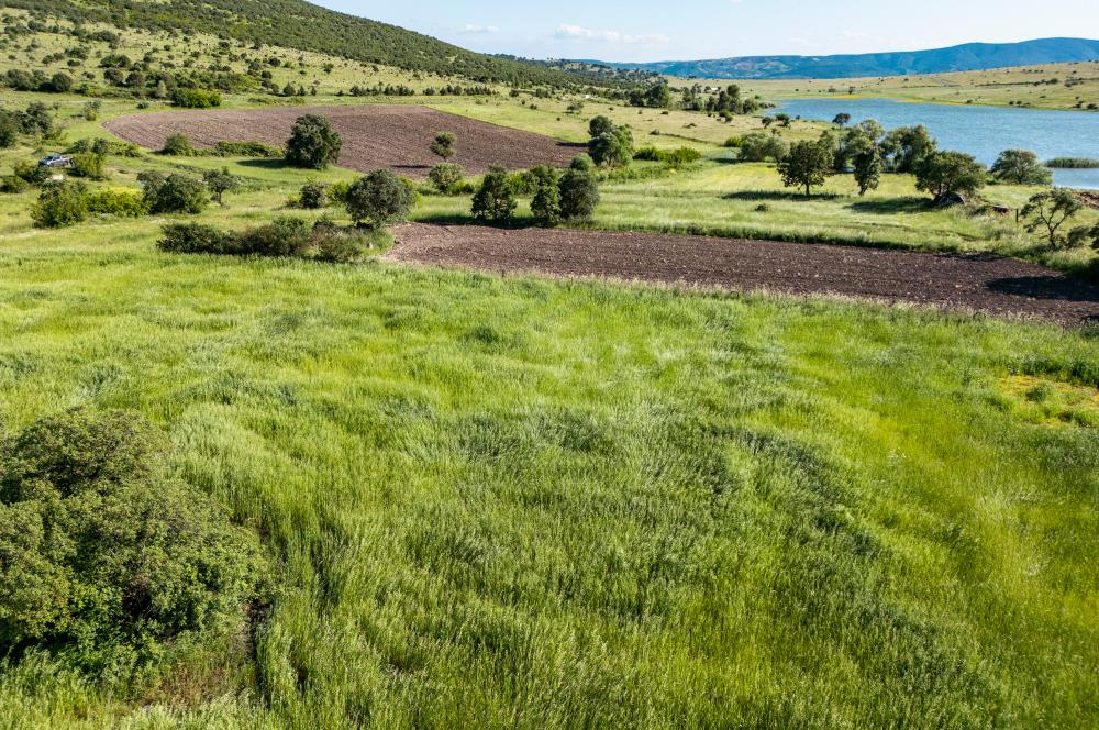 C21 LOCA'DAN BALYA NARLI'DA GÖL MANZARALI 7 DÖNÜM SATILIK TARLA