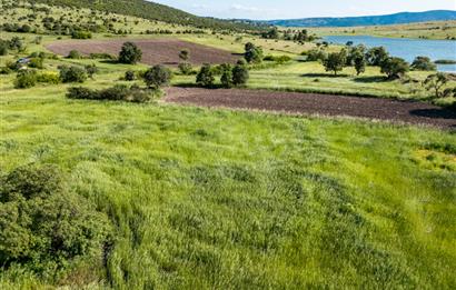 C21 LOCA'DAN BALYA NARLI'DA GÖL MANZARALI 7 DÖNÜM SATILIK TARLA