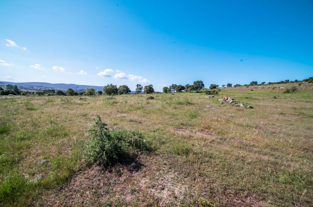 C21 LOCA'DAN BALYA NARLI'DA GÖL MANZARALI SATILIK 16 DÖNÜM TARLA