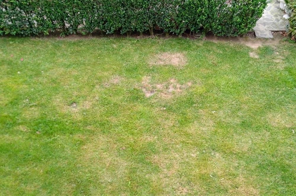 SULTAN REŞAD KONAKLARINDA SATILIK MÜSTAKİL