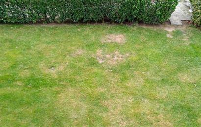 SULTAN REŞAD KONAKLARINDA SATILIK MÜSTAKİL