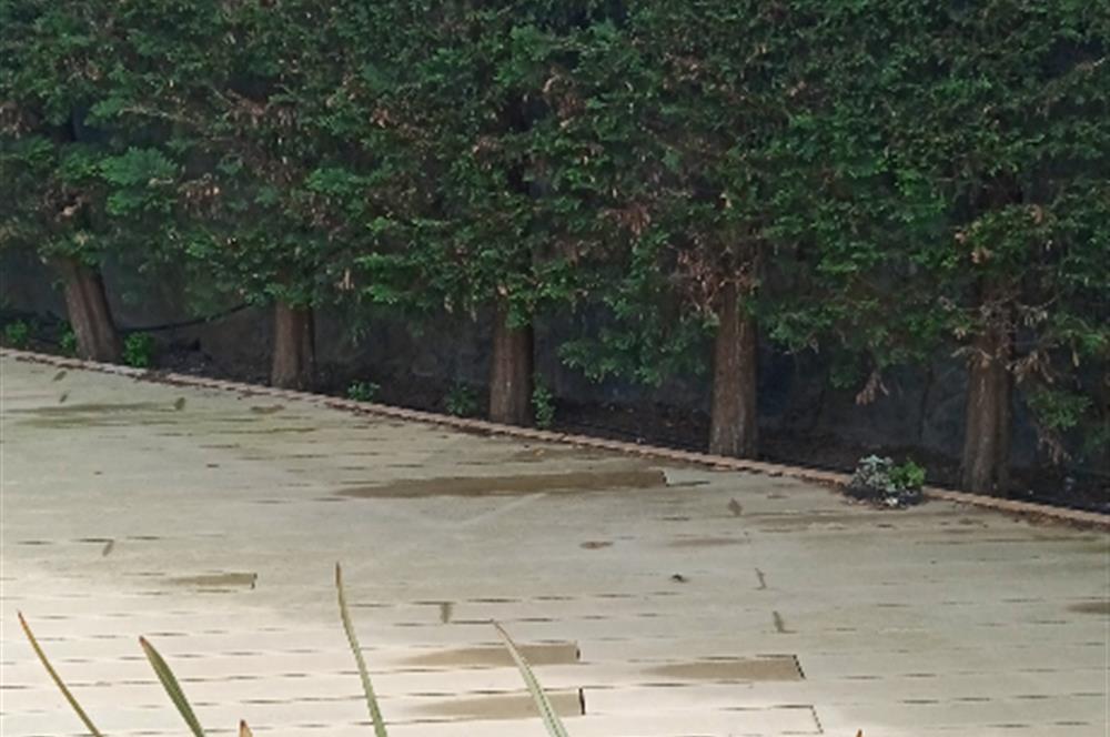 SULTAN REŞAD KONAKLARINDA SATILIK MÜSTAKİL