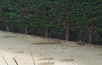 SULTAN REŞAD KONAKLARINDA SATILIK MÜSTAKİL