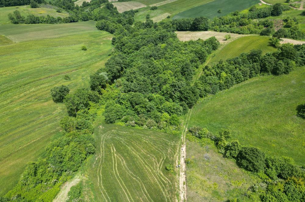 Kocaeli Derince Geredeli Doğayla iç içe 7.488m2 Satılık %5 imarlı Arazi