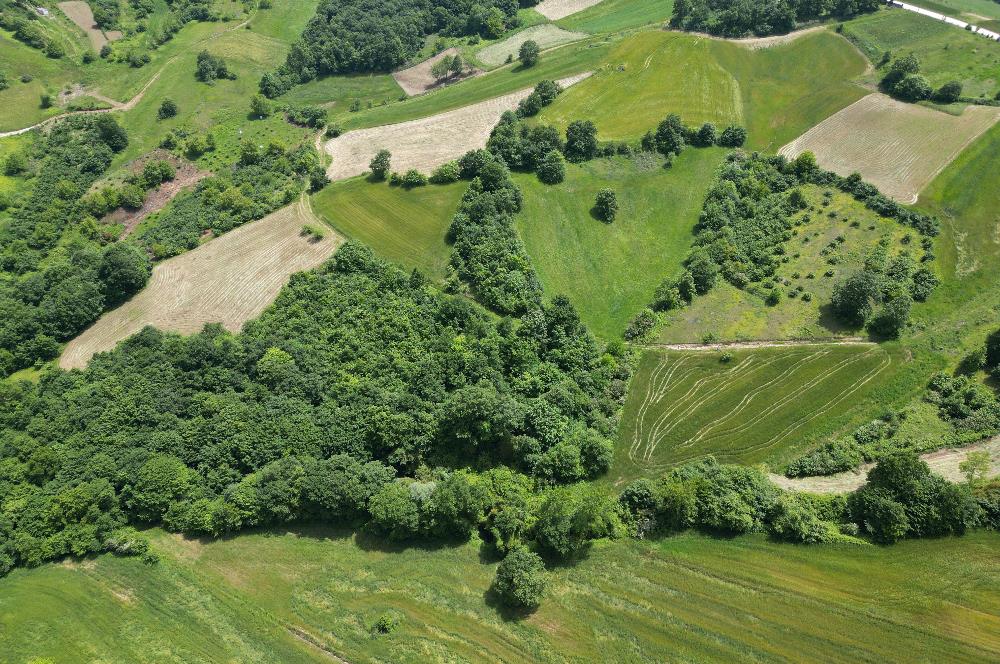 Kocaeli Derince Geredeli Doğayla iç içe 7.488m2 Satılık %5 imarlı Arazi