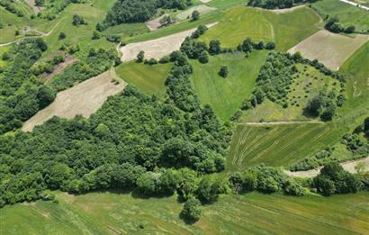 Kocaeli Derince Geredeli Doğayla iç içe 7.488m2 Satılık %5 imarlı Arazi