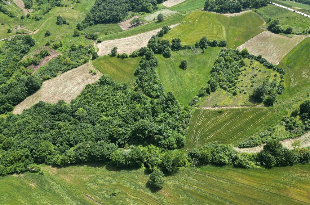 Kocaeli Derince Geredeli Doğayla iç içe 7.488m2 Satılık %5 imarlı Arazi