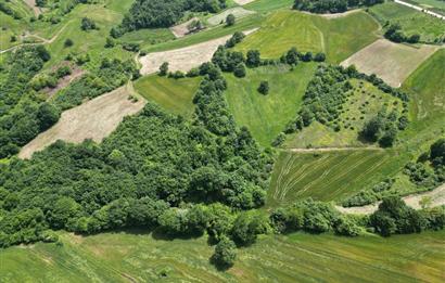 Kocaeli Derince Geredeli Doğayla iç içe 7.488m2 Satılık %5 imarlı Arazi