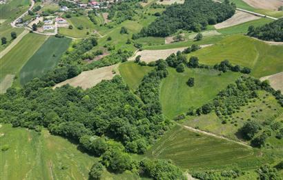 Kocaeli Derince Geredeli Doğayla iç içe 7.488m2 Satılık %5 imarlı Arazi