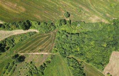 Kocaeli Derince Geredeli Doğayla iç içe 7.488m2 Satılık %5 imarlı Arazi