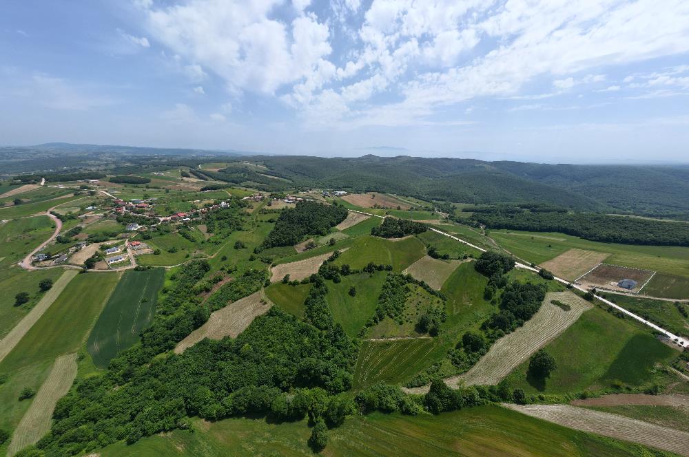 Kocaeli Derince Geredeli Doğayla iç içe 7.488m2 Satılık %5 imarlı Arazi