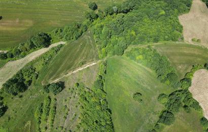 Kocaeli Derince Geredeli Doğayla iç içe 7.488m2 Satılık %5 imarlı Arazi