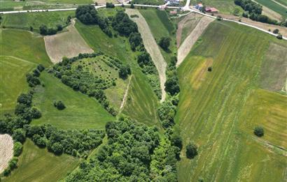 Kocaeli Derince Geredeli Doğayla iç içe 7.488m2 Satılık %5 imarlı Arazi