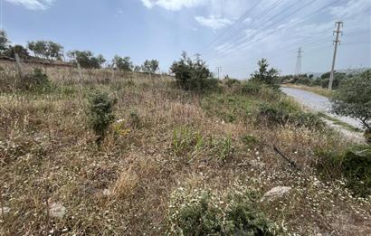 Milas Dörttepe Sığırtmaç Mevkiinde Satılık İmarlı Tarla