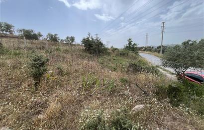 Milas Dörttepe Sığırtmaç Mevkiinde Satılık İmarlı Tarla