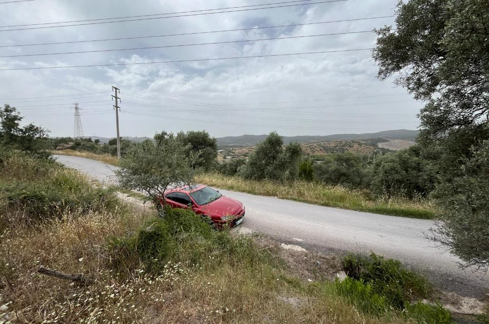 Milas Dörttepe Sığırtmaç Mevkiinde Satılık İmarlı Tarla