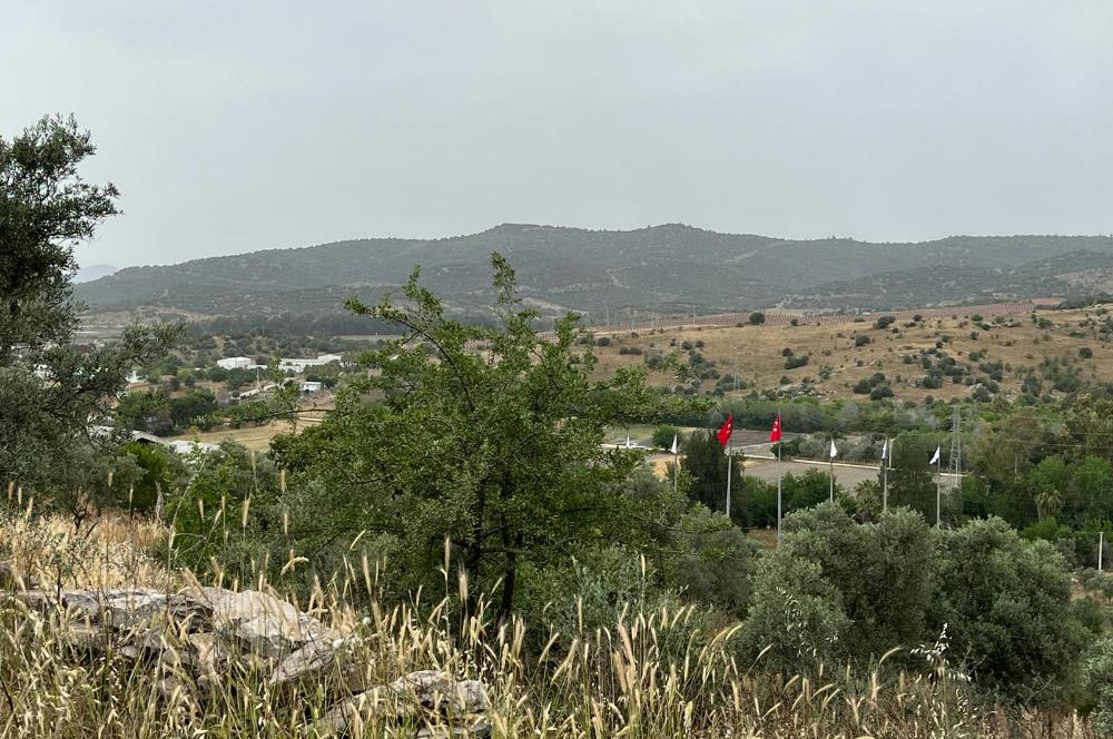 Milas Dörttepe Sığırtmaç Mevkiinde Satılık İmarlı Tarla