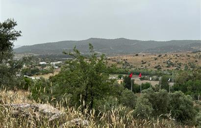 Milas Dörttepe Sığırtmaç Mevkiinde Satılık İmarlı Tarla