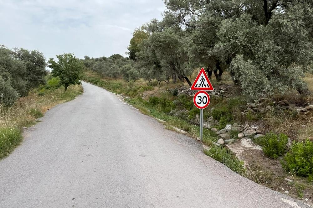 Milas Dörttepe Sığırtmaç Mevkiinde Satılık İmarlı Tarla