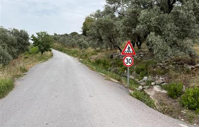 Milas Dörttepe Sığırtmaç Mevkiinde Satılık İmarlı Tarla