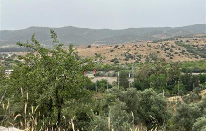 Milas Dörttepe Sığırtmaç Mevkiinde Satılık İmarlı Tarla