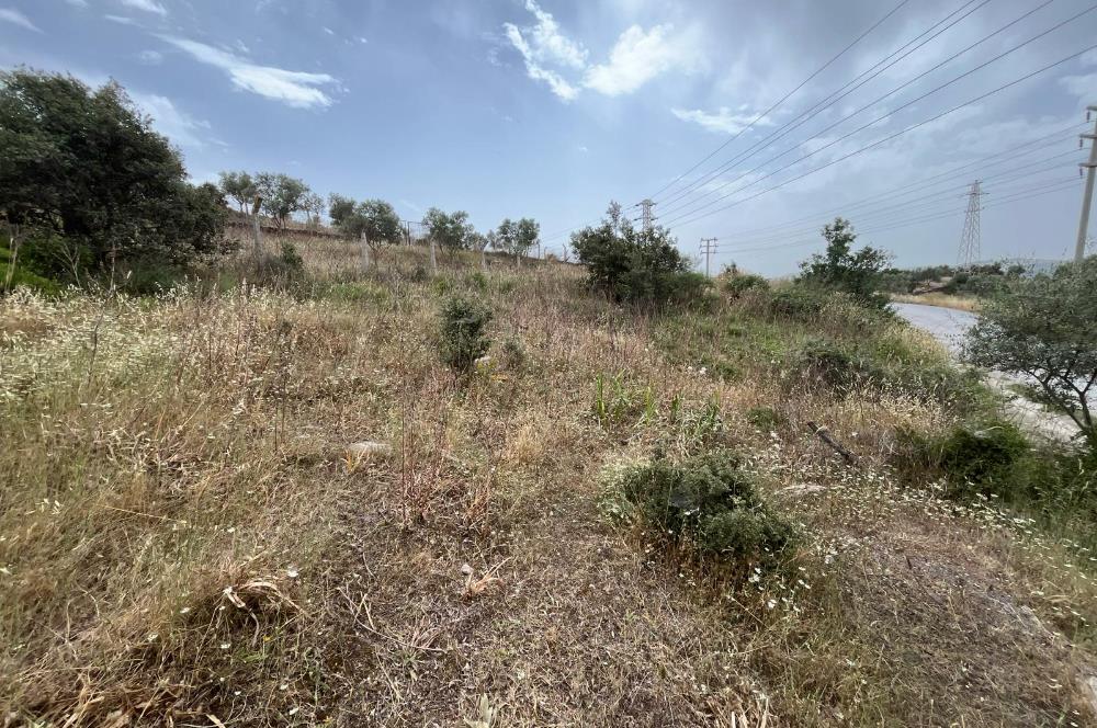 Milas Dörttepe Sığırtmaç Mevkiinde Satılık İmarlı Tarla