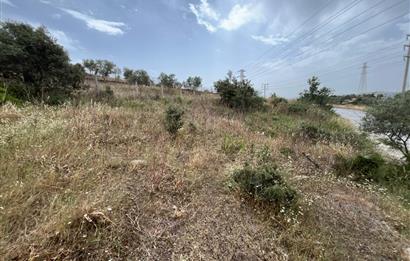 Milas Dörttepe Sığırtmaç Mevkiinde Satılık İmarlı Tarla