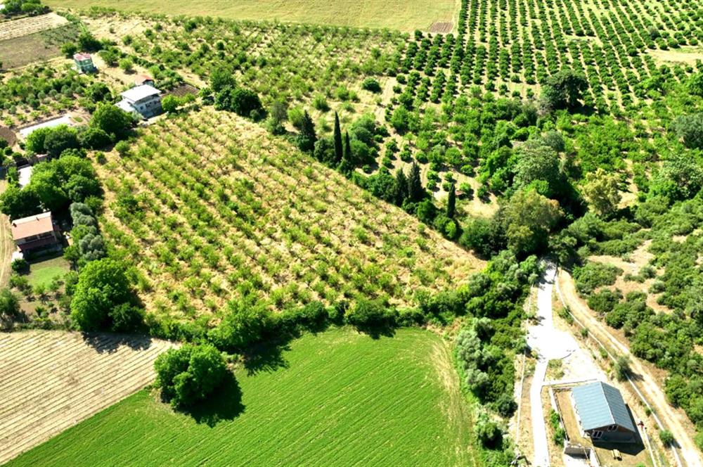 Menderes Çile Mahallesinde Satılık Tarla