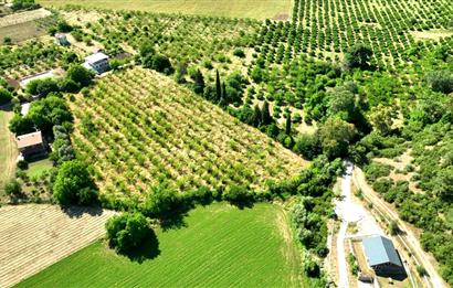 Menderes Çile Mahallesinde Satılık Tarla