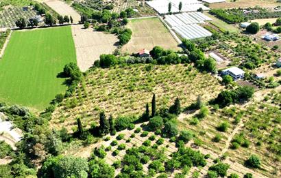 Menderes Çile Mahallesinde Satılık Tarla