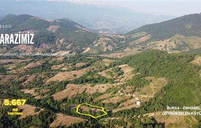 C21 NOVO'DAN BURSA ORHANELİ GÖYNÜKBELEN'DE 5667 M2 SATILIK BAHÇE