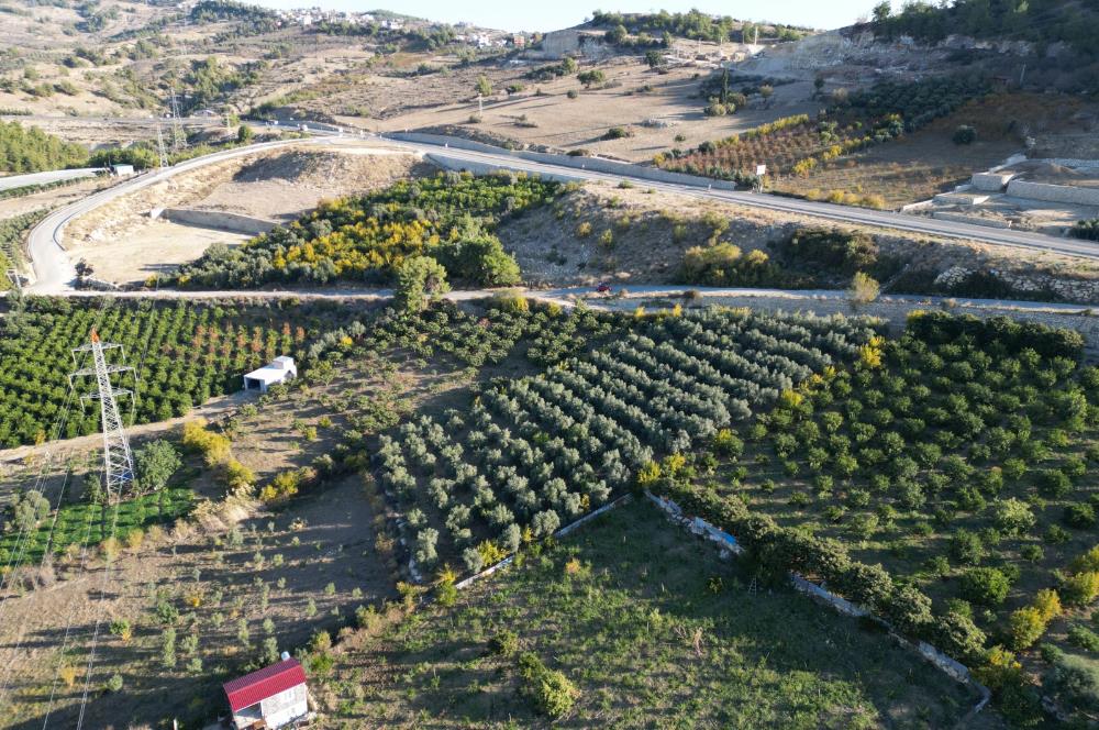 TOROSLARDA ŞEHİR MERKEZİNE YAKIN  ANAYOL KENARI SATILIK ARSA