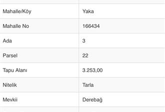 Tavas Yaka’da Yatırıma Uygun Fırsat Tarla