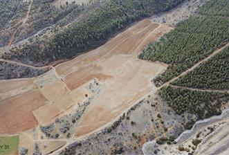 Tavas Karahisar’da Satılık Tarla