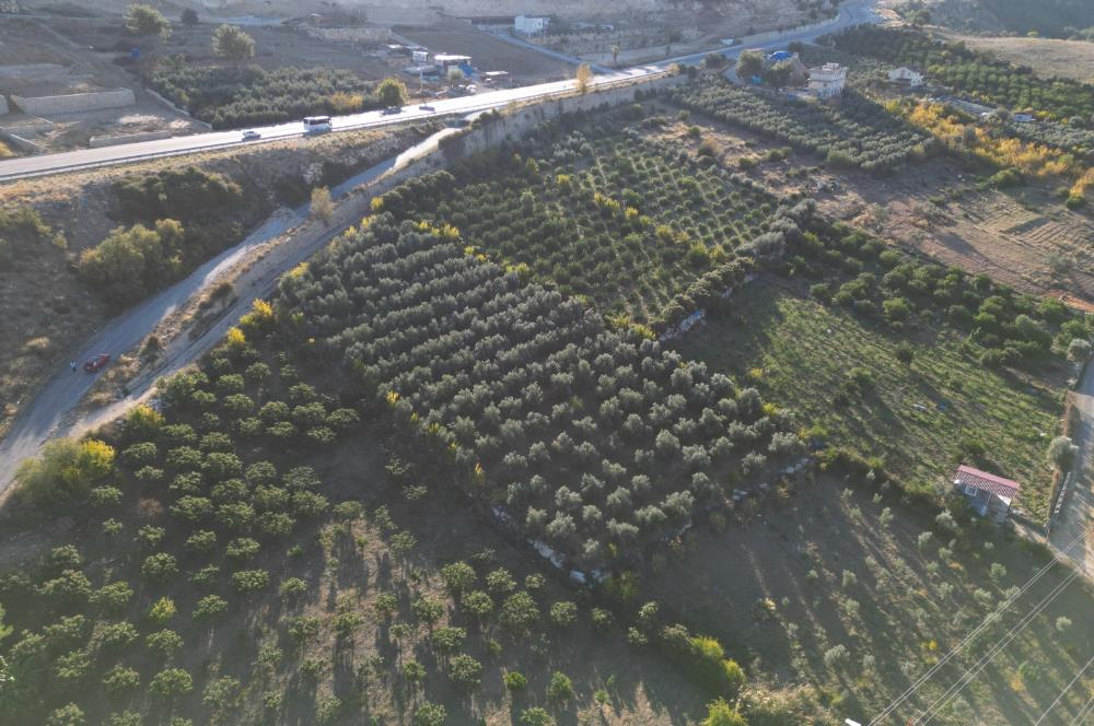 TOROSLARDA ŞEHİR MERKEZİNE YAKIN  ANAYOL KENARI SATILIK ARSA