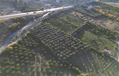 TOROSLARDA ŞEHİR MERKEZİNE YAKIN  ANAYOL KENARI SATILIK ARSA