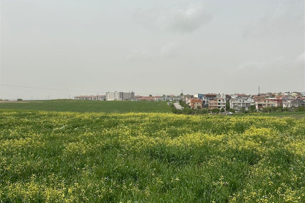 Çorlu Satılık 2565 M2 Konut İmarlı Arsa