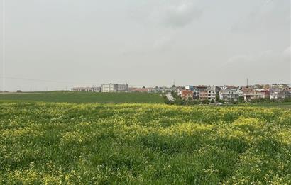 Çorlu Satılık 2565 M2 Konut İmarlı Arsa