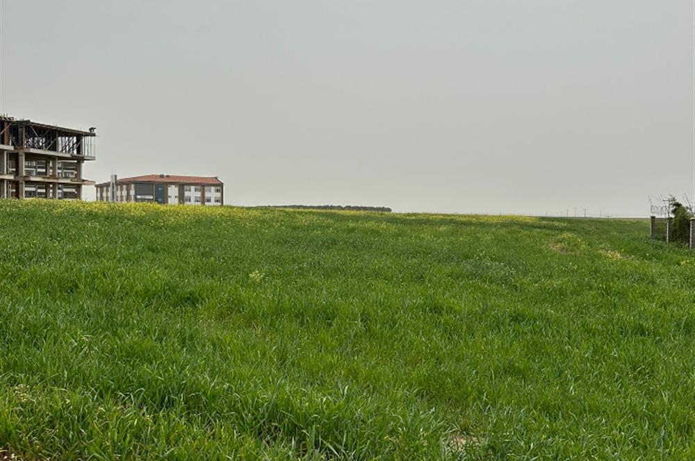 Çorlu Satılık 2565 M2 Konut İmarlı Arsa