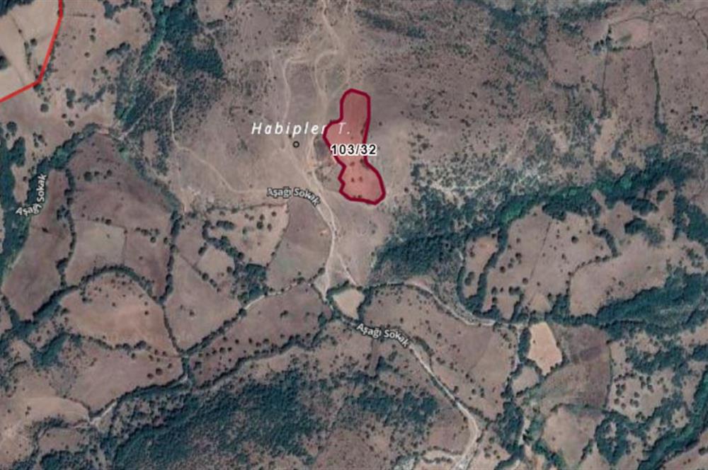 BALYA KAŞIKÇI İLE MÜSTECAP ARASINDA PLANLANAN OSB ALANI İÇİNDE 10.297 M2 