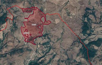 BALYA KAŞIKÇI İLE MÜSTECAP ARASINDA PLANLANAN OSB ALANI İÇİNDE 10.297 M2 