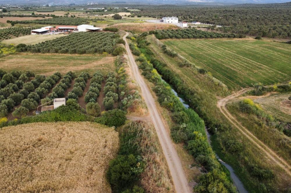 BALIKESİR - GÖMEÇ - YAYA'DA MÜSTAKİL PARSEL SATILIK ARAZİ