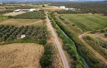 BALIKESİR - GÖMEÇ - YAYA'DA MÜSTAKİL PARSEL SATILIK ARAZİ