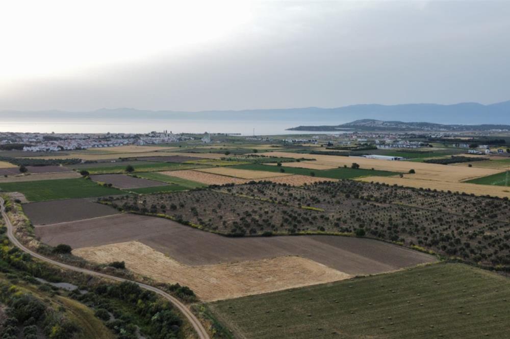 BALIKESİR - GÖMEÇ - YAYA'DA MÜSTAKİL PARSEL SATILIK ARAZİ