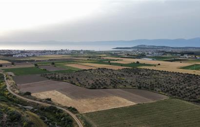 BALIKESİR - GÖMEÇ - YAYA'DA MÜSTAKİL PARSEL SATILIK ARAZİ