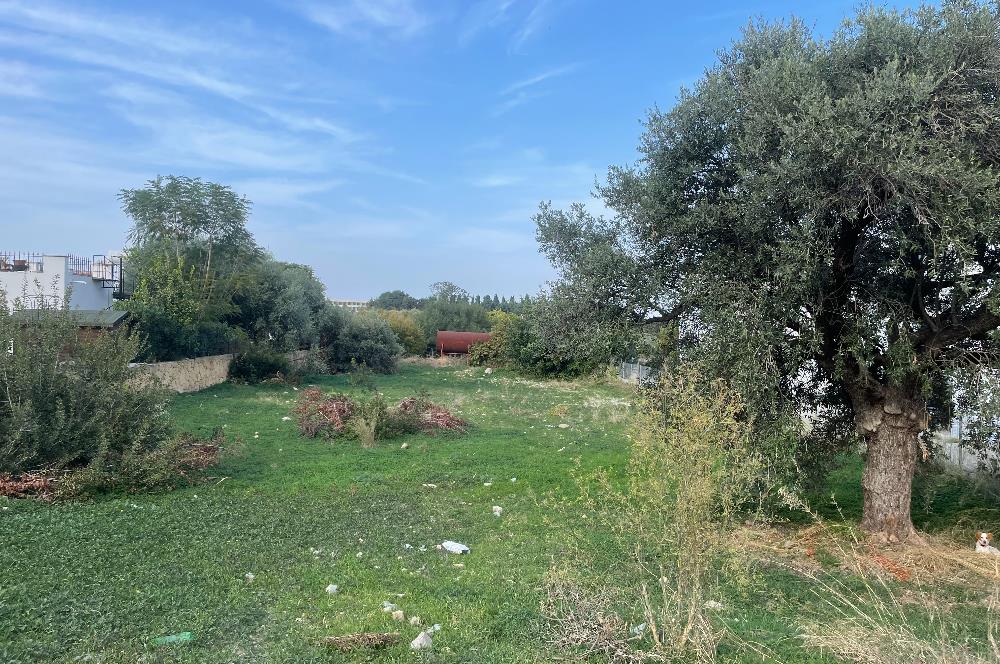 Land for sale in Catalkoy, North Cyprus