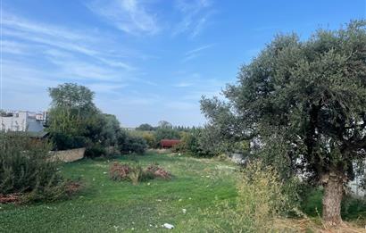 Satılık Konut İmarlı Arsa - Çatalköy, Girne, Kuzey Kıbrıs